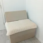 Cicovic 페일