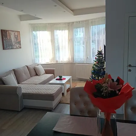 Apartment Cicovic *