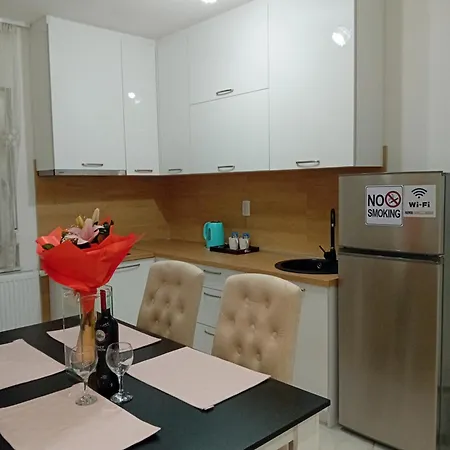 Apartment Cicovic *