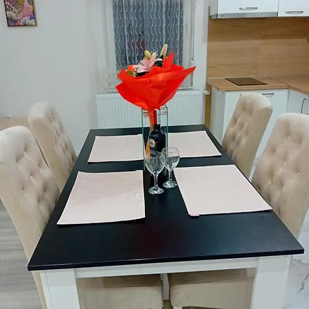 Apartament Cicović *