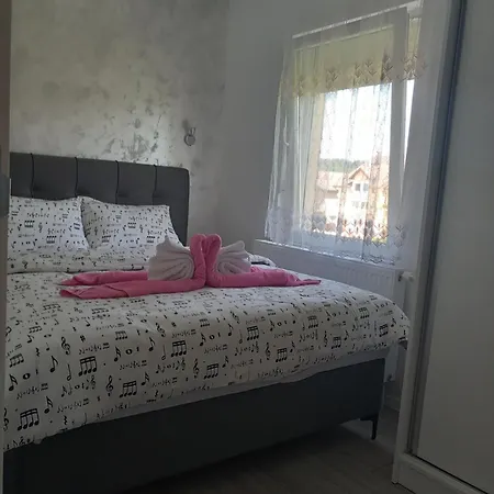 Apartment Cicovic Pale