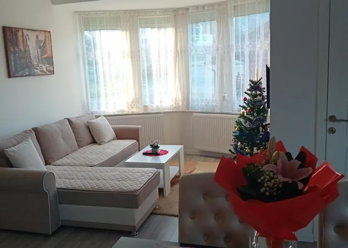 Appartement Cicovic *