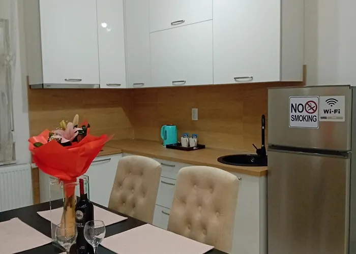 Appartement Cicovic *