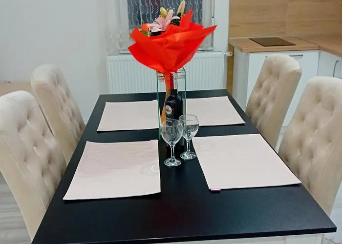 Appartement Cicovic *