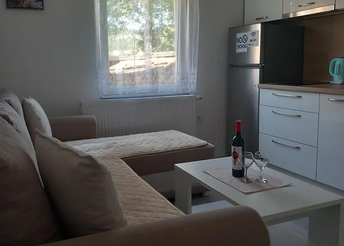 Appartement Cicovic