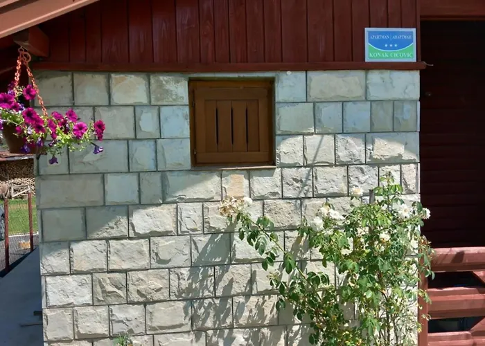 Appartement Cicovic Pale