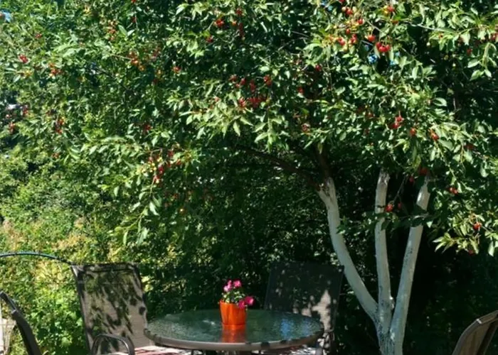 Cicovic Appartement Pale